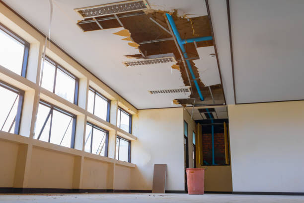 Best Water damage cleanup near me  in Carroll Valley, PA