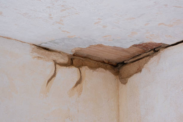 Best Ceiling water damage repair  in Carroll Valley, PA