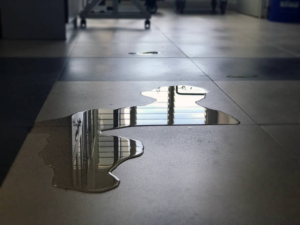 Best Water damage restoration near me  in Carroll Valley, PA