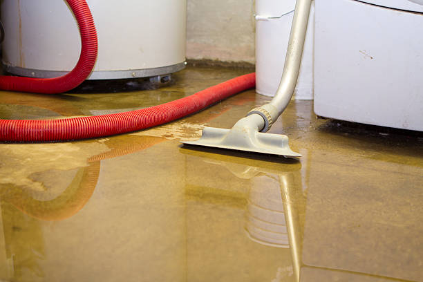 Best Professional water damage repair  in Carroll Valley, PA