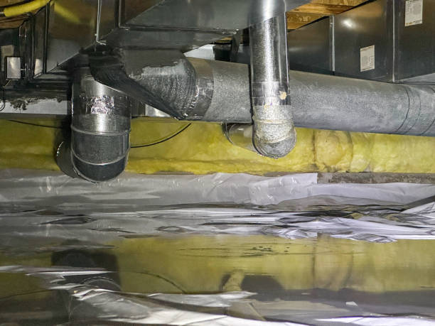 Best Professional water damage repair  in Carroll Valley, PA