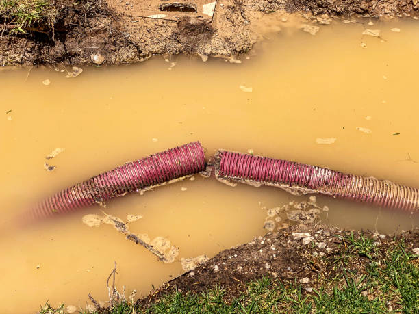 Best Local water damage restoration  in Carroll Valley, PA