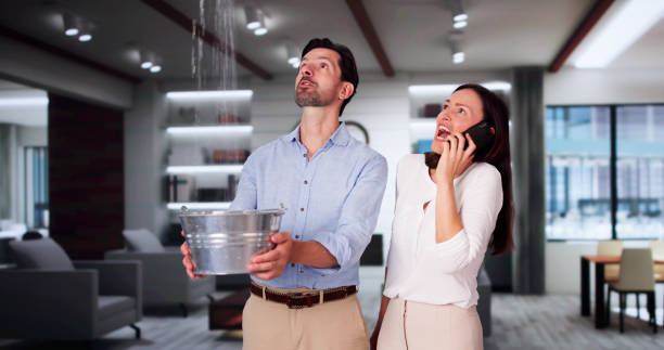 Best Flood damage cleanup  in Carroll Valley, PA