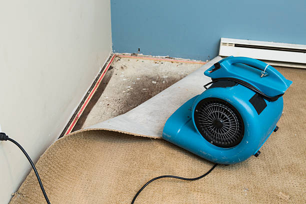 Best 24/7 water damage repair  in Carroll Valley, PA